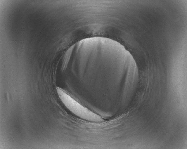 X0000060280039200511181334