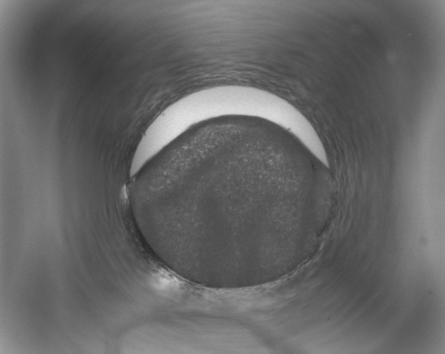 X0000060280041200511181334