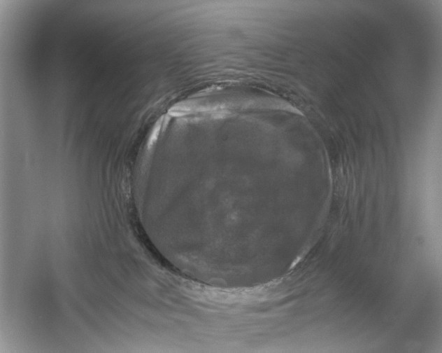X0000060280043200511181334
