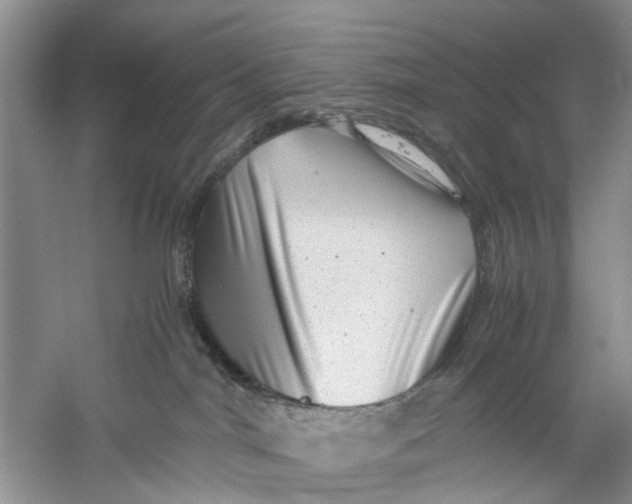 X0000060280044200511181334