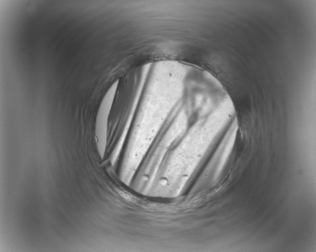 X0000060280045200511181334