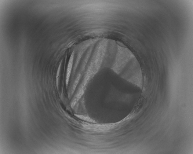 X0000060280048200511181334