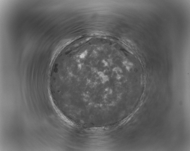 X0000060280049200511181333