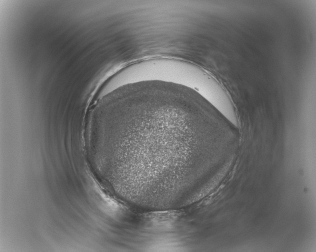 X0000060280050200511181333