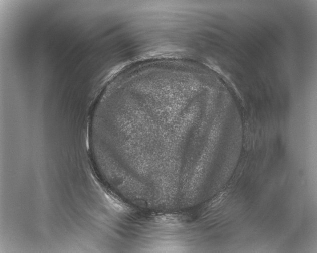 X0000060280062200511181333