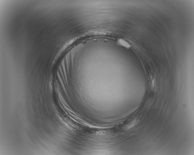 X0000060280064200511181333