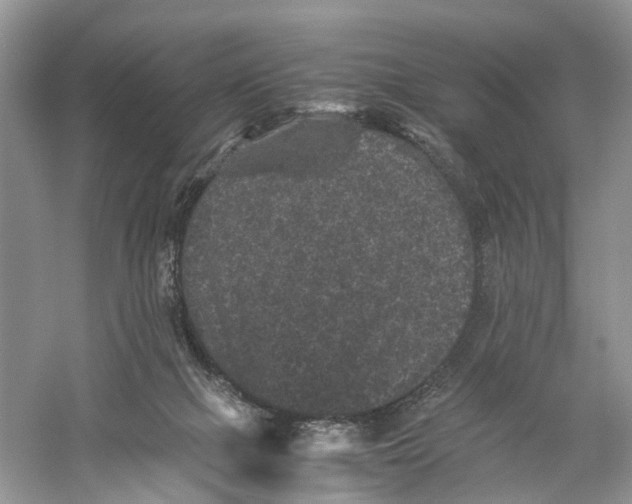 X0000060280073200511181333