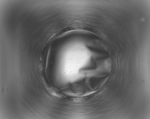 X0000060280088200511181333