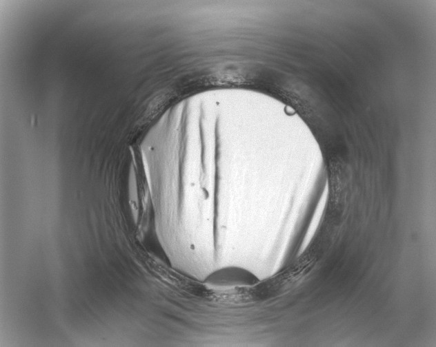 X0000060280123200511181332