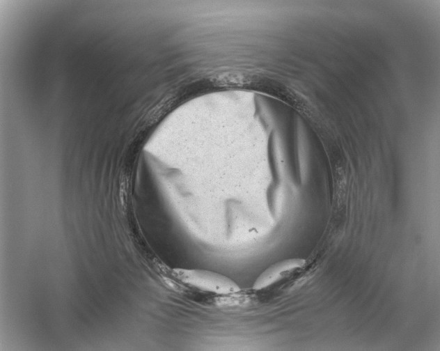 X0000060280125200511181332
