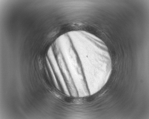 X0000060280131200511181332