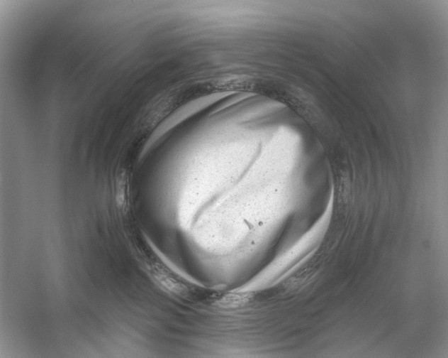 X0000060280138200511181332