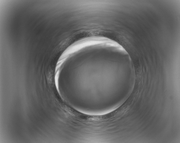 X0000060280139200511181332