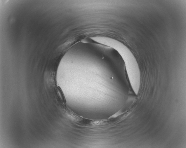 X0000060280141200511181332