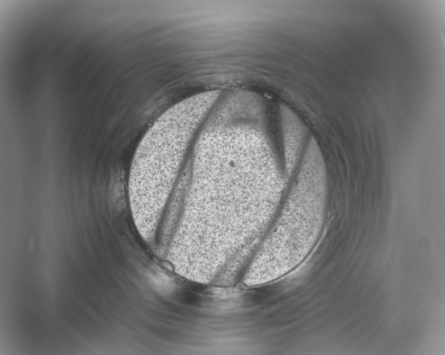X0000060280144200511181332