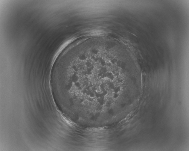 X0000060280147200511181331