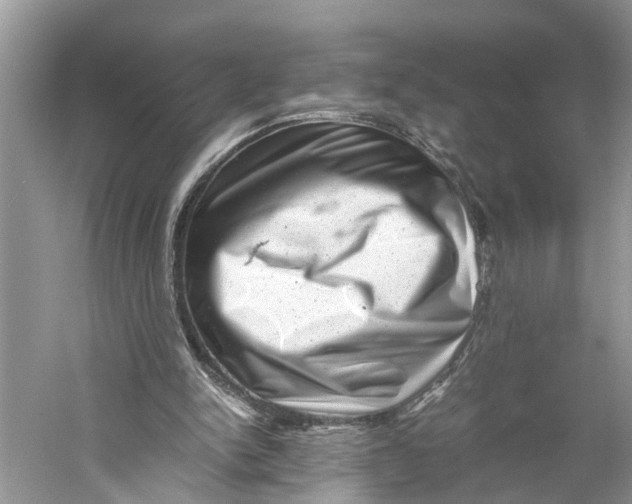X0000060280150200511181331