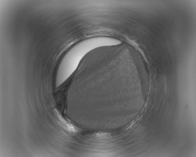 X0000060280154200511181331