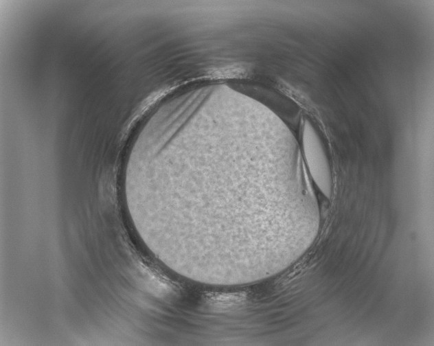 X0000060280155200511181331