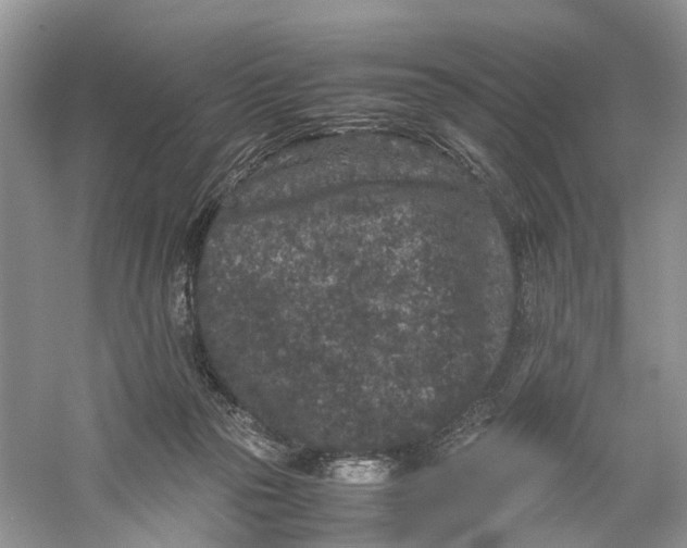 X0000060280169200511181332
