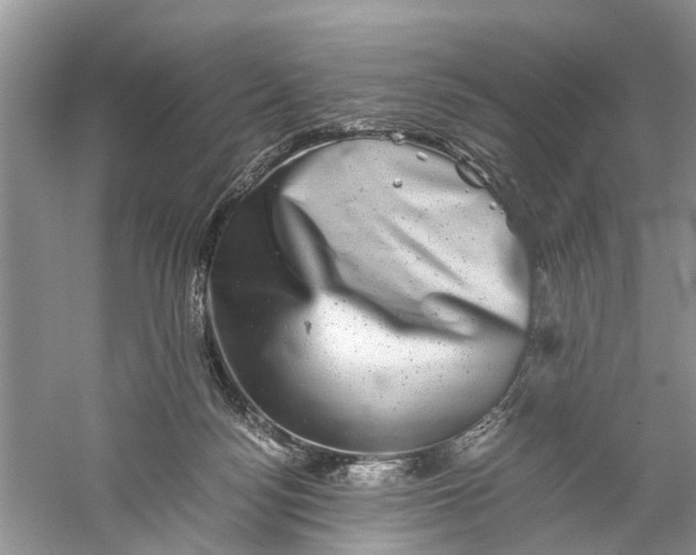 X0000060280172200511181332