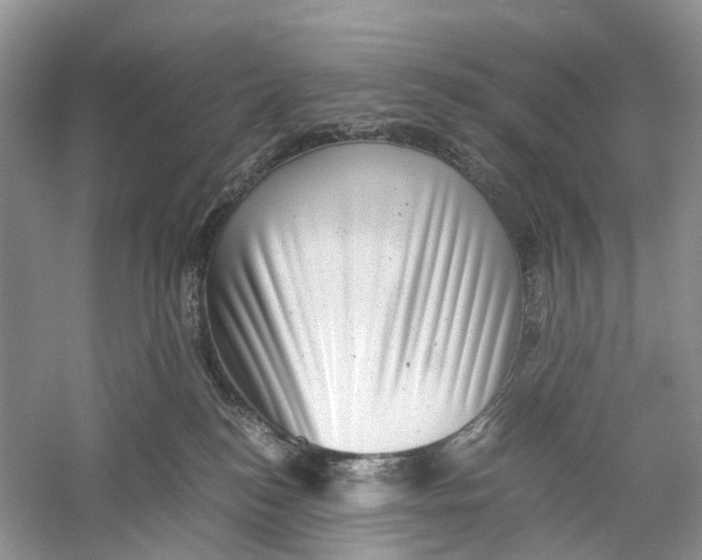 X0000060280184200511181332