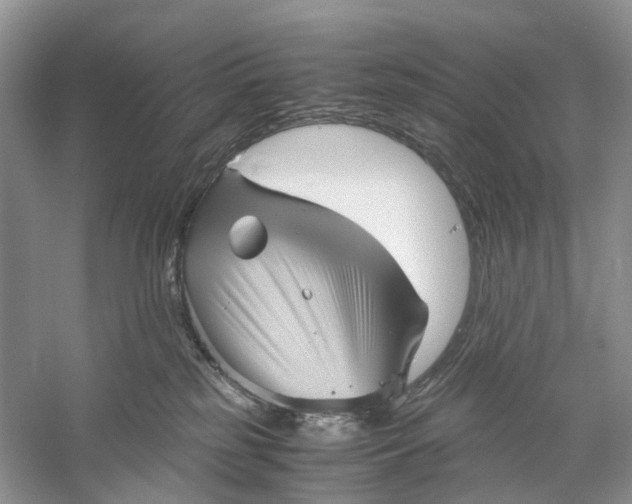 X0000060280185200511181332