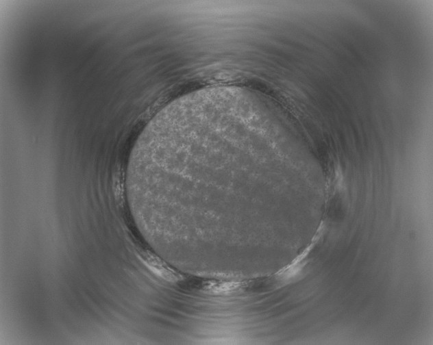 X0000060280186200511181332