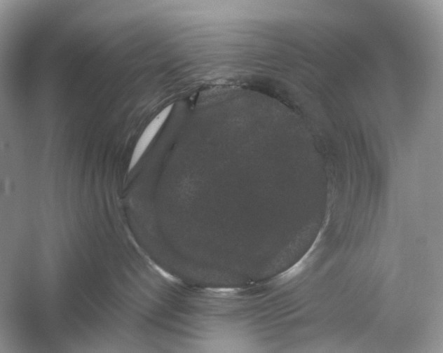 X0000060280192200511181332