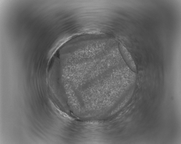 X0000060280194200511181331