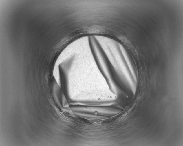 X0000060280201200511181331