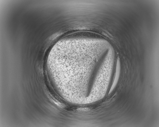 X0000060280203200511181331