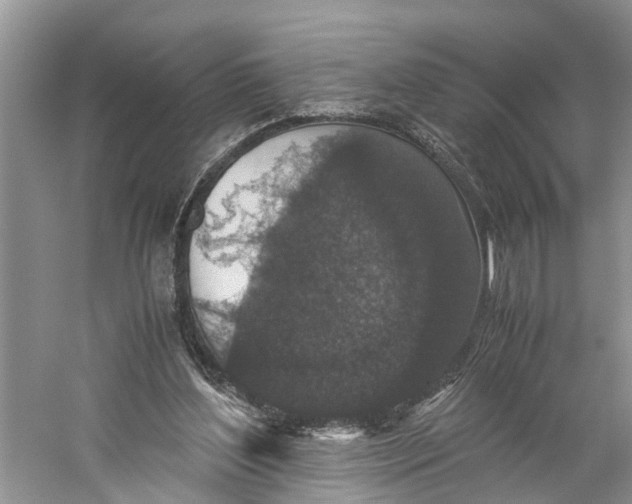 X0000060280204200511181331