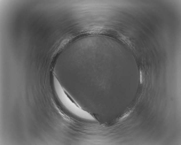 X0000060280205200511181331