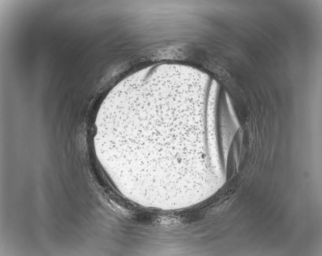 X0000060280207200511181331