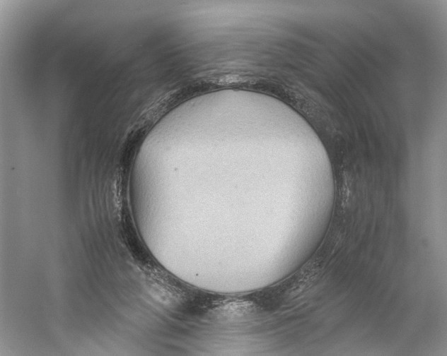 X0000060280210200511181331