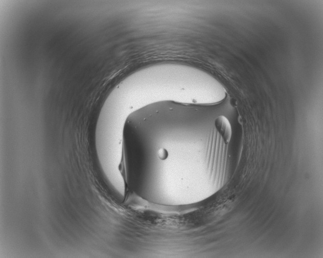 X0000060280211200511181331