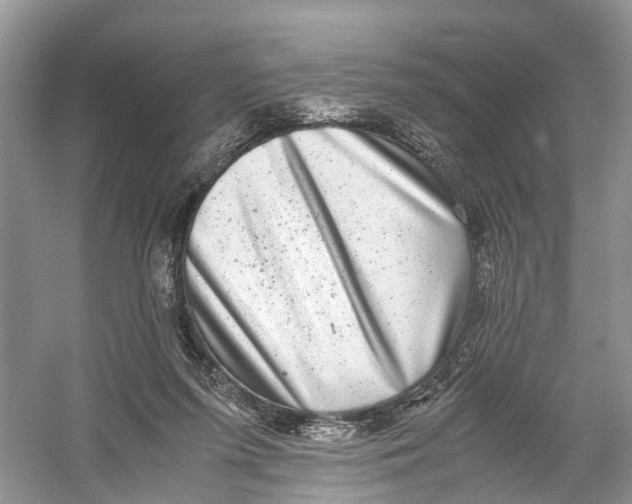X0000060280215200511181331