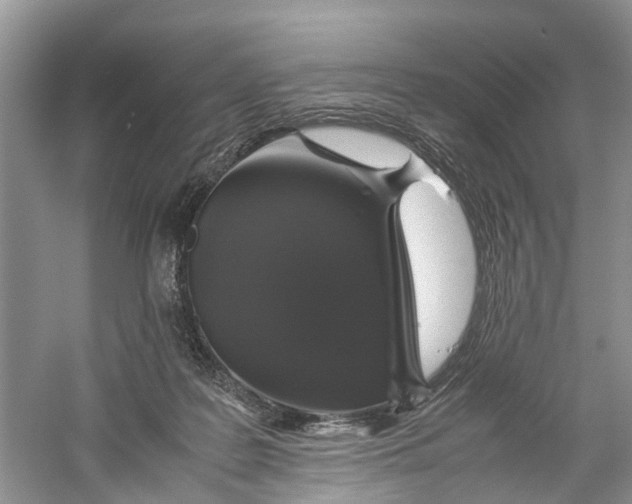 X0000060280219200511181331