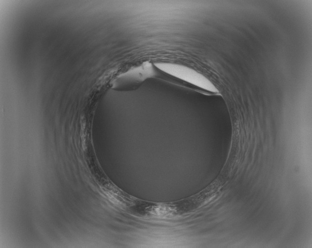 X0000060280223200511181331