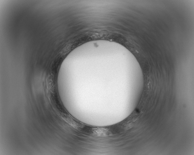 X0000060280226200511181331