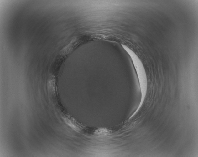 X0000060280231200511181331
