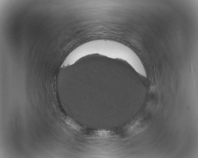 X0000060280233200511181331