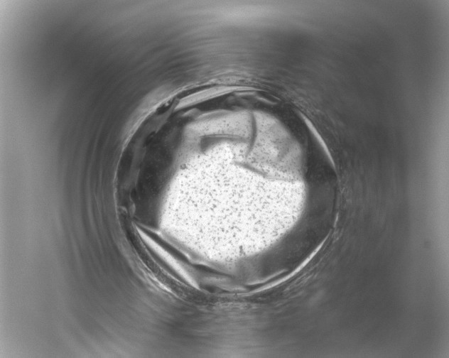 X0000060280242200511181330