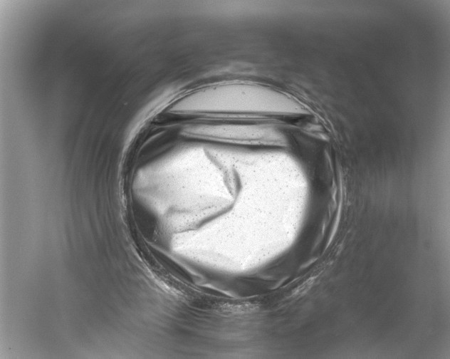 X0000060280245200511181330