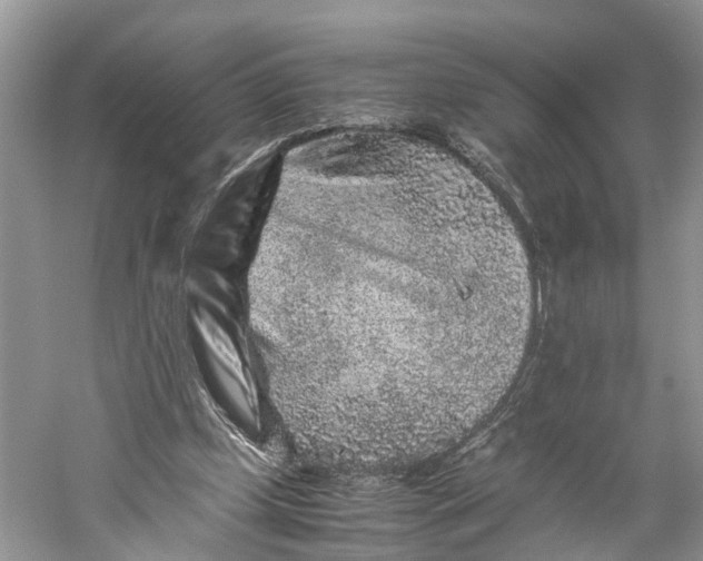 X0000060280249200511181330