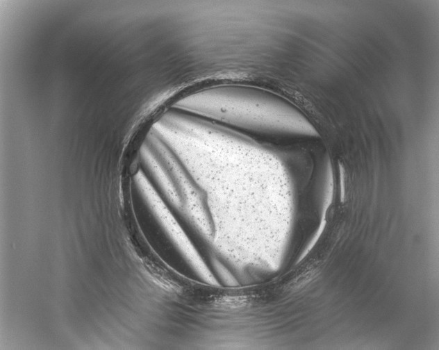X0000060280252200511181330