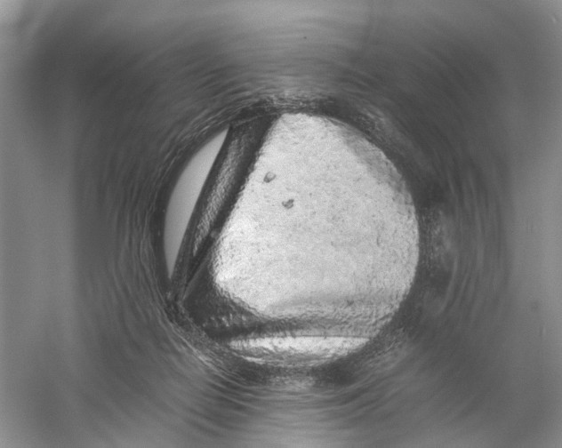 X0000060280266200511181330