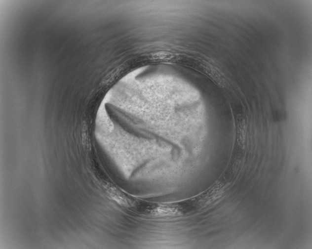 X0000060280270200511181330