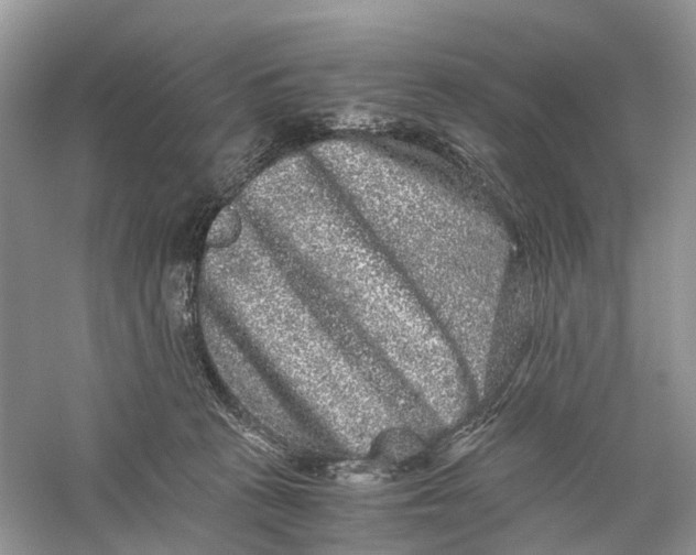 X0000060280273200511181330